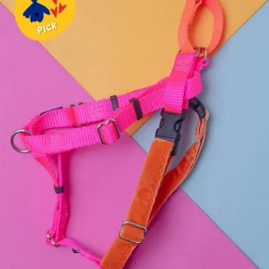 Freedom No-Pull Harness in Neon Pink & Orange (Made in the USA)