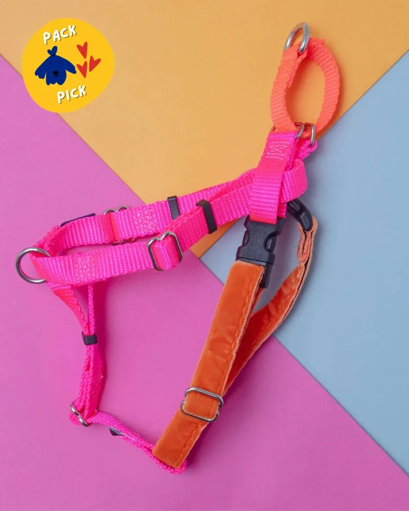 Freedom No-Pull Harness in Neon Pink & Orange (Made in the USA)