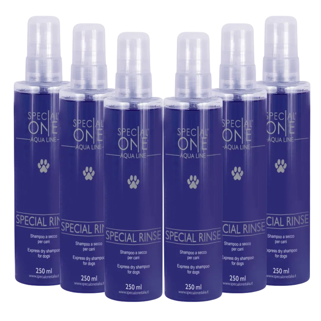 Special Rinse Dry Shampoo box of 6 250 ml by Special One