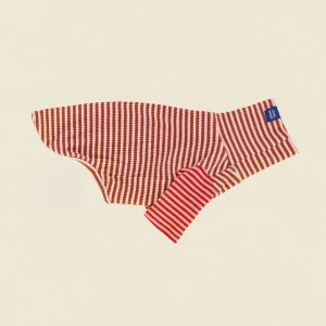 Earth and Fire Ribbed Dog Shirt