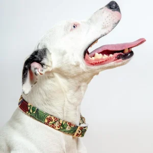 William Morris Golden Lily Dog Collar