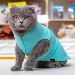 Stretch Fleece Pullover in Turquoise