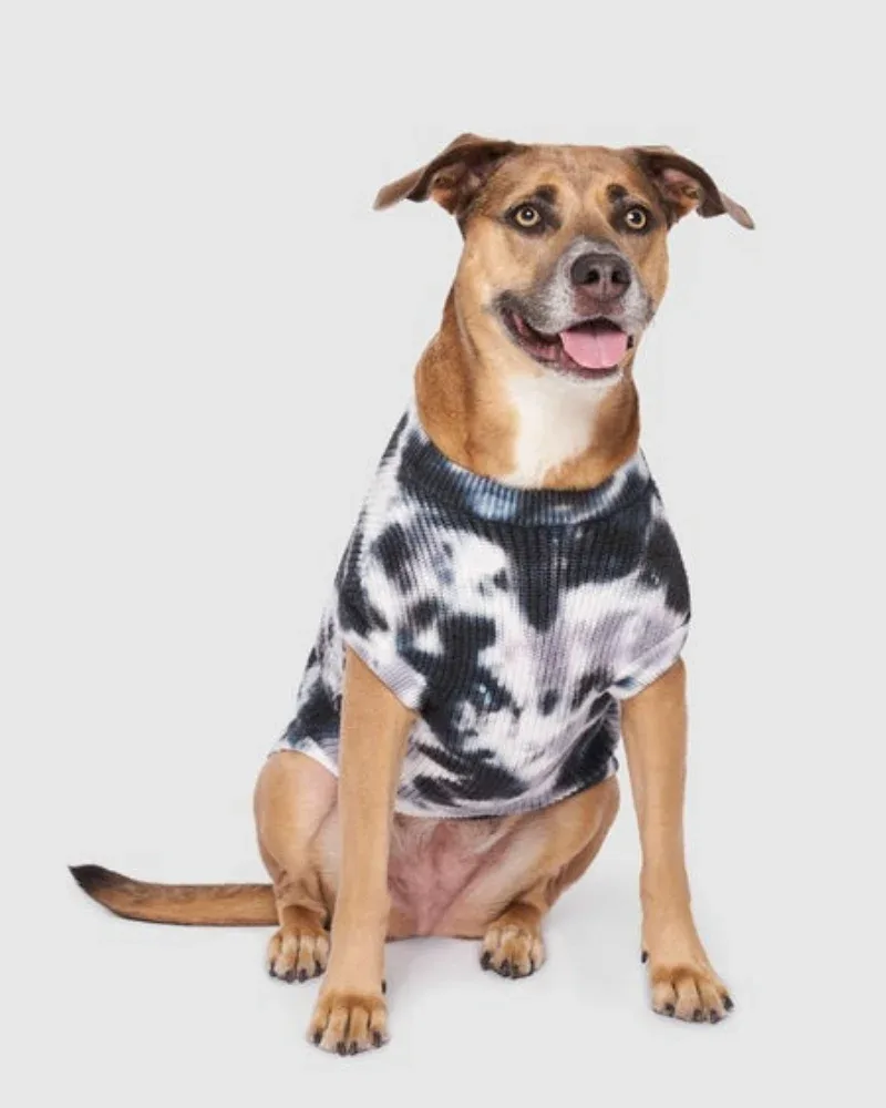 Wild Side Tie-Dye Dog Sweater <>