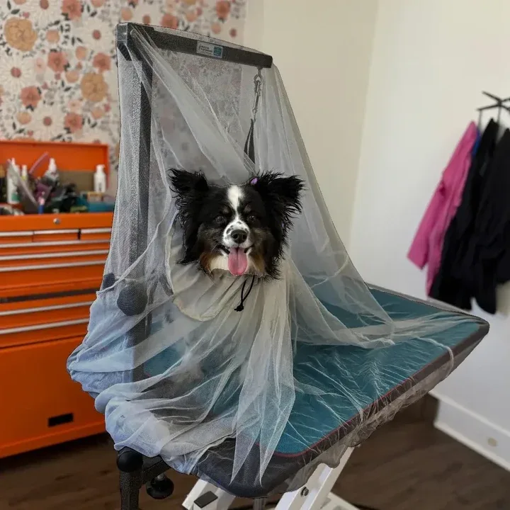 Flying Fur Catcher Black by Big Hair Net - Image 2