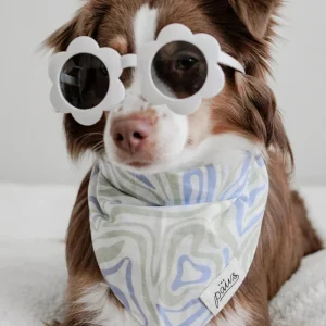 Yeah Baby Dog Bandana (CLEARANCE)