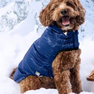 Lunar Glow Dog Parka in Blue
