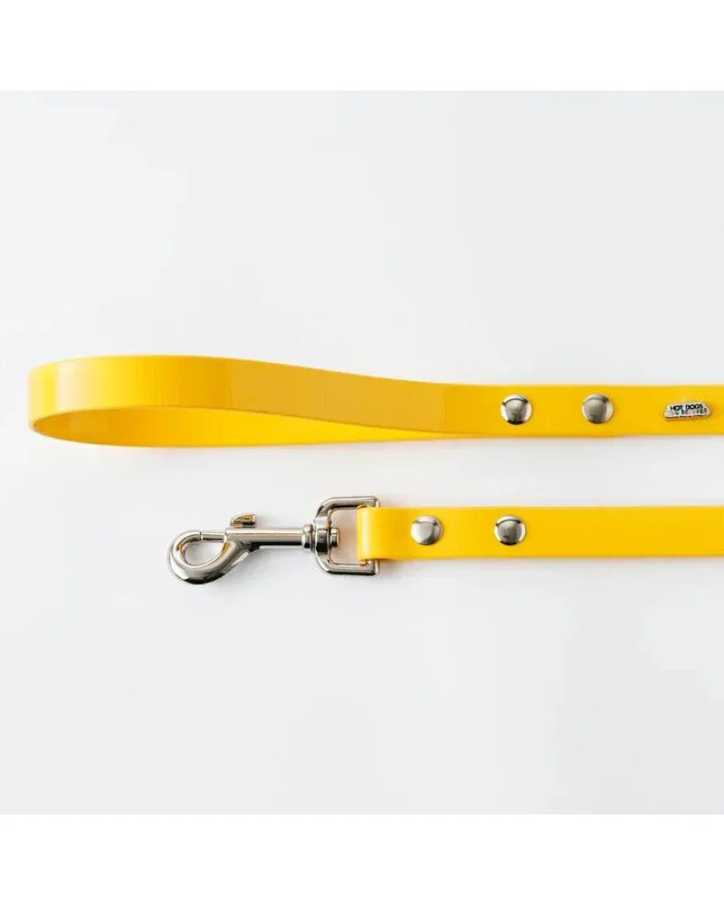 The Daisy Hydro Collar + Leash Set (Made in Canada) - Image 2