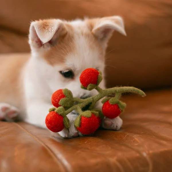 Wool Cherry Tomato Vine Dog Toy - Image 2