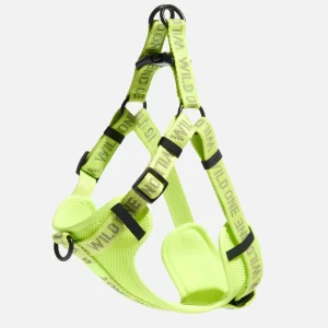 Step-In Dog Harness