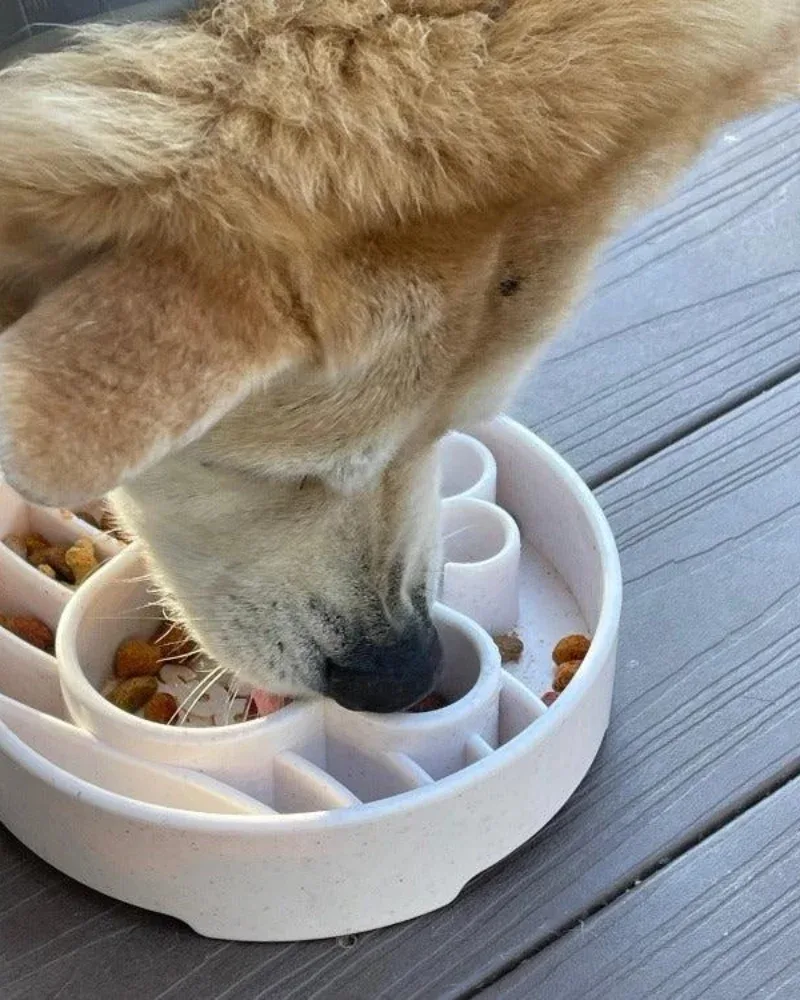 Java Slow Feeder Dog Bowl (Made in the USA) - Image 2