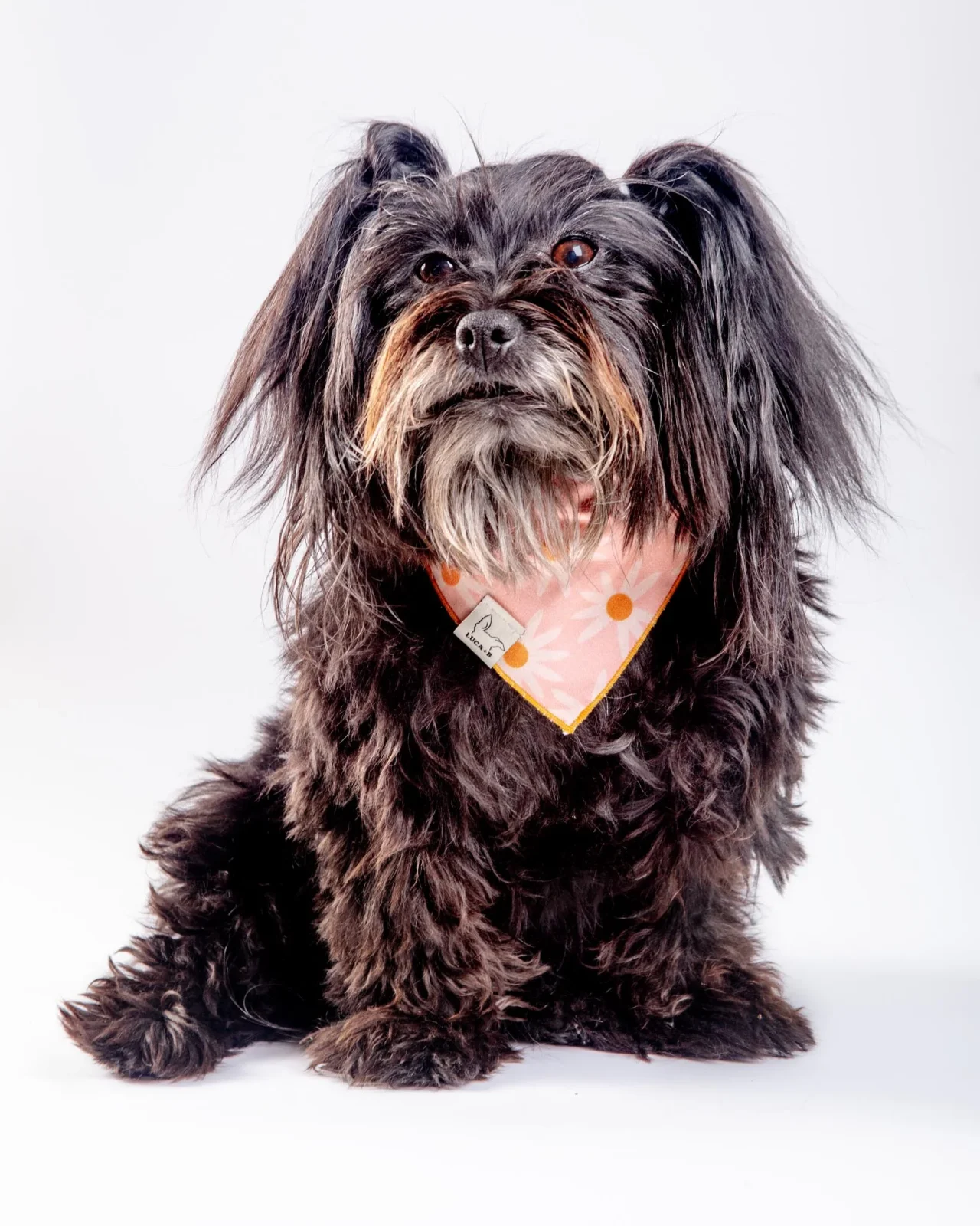 Pink Retro Daisies Bandana (Made in the USA) (FINAL SALE) - Image 2