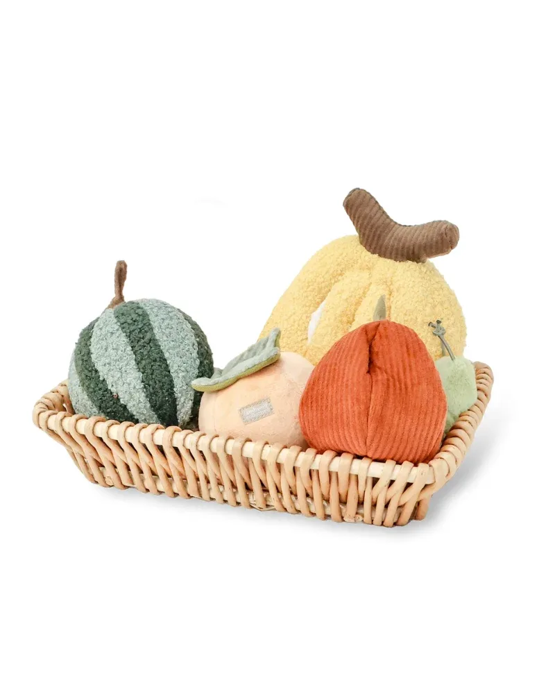 Fruit Enrichment Snuffle Dog Toy Set