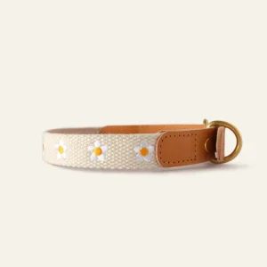 Cotton + Leather Daisy Dog Collar