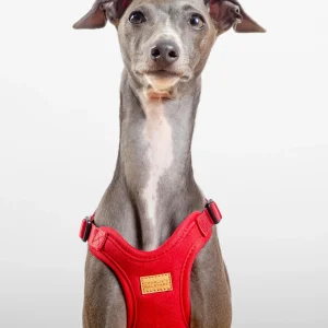Comfort Dog Harness in Red
