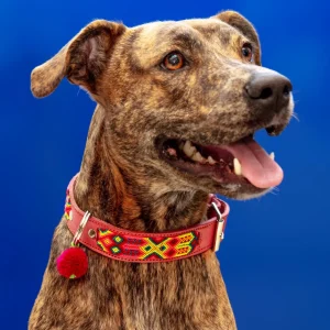Mexican Boho Inspired Leather Pet Collars (FINAL SALE)