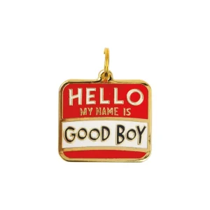 HELLO My Name is Good Boy Collar Charm