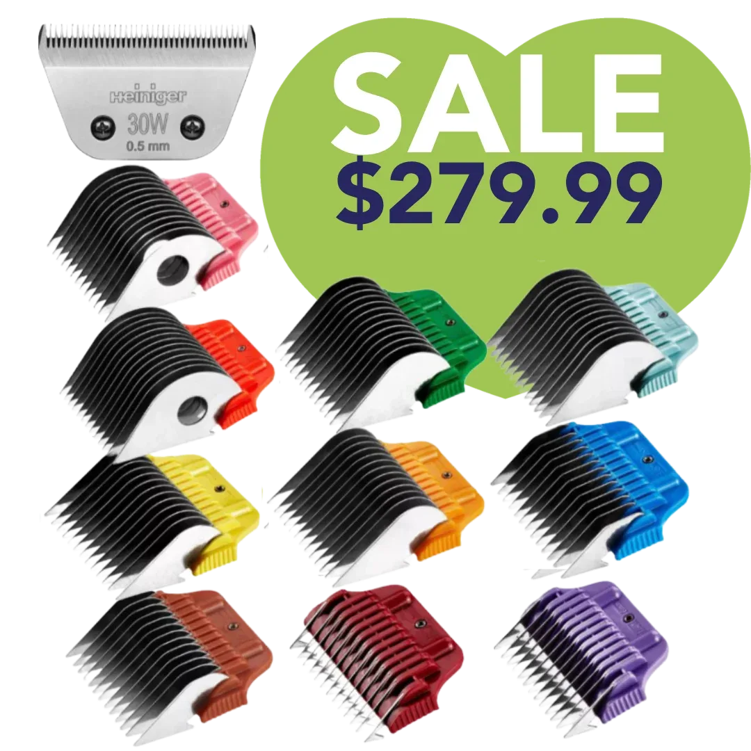 Set of 10 Stainless Steel Combs with 30W Blade by Heiniger