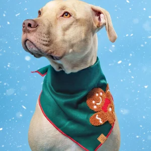 Gingerbread Man Applique Dog Bandana (Made in the USA)