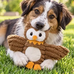 Oliver Owl Squeaky Plush Dog Toy (16")