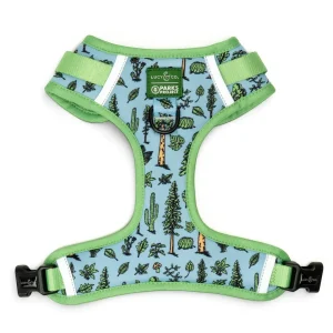 Lucy & Co. x Parks Project Feel the Earth Breathe No-Pull Harness