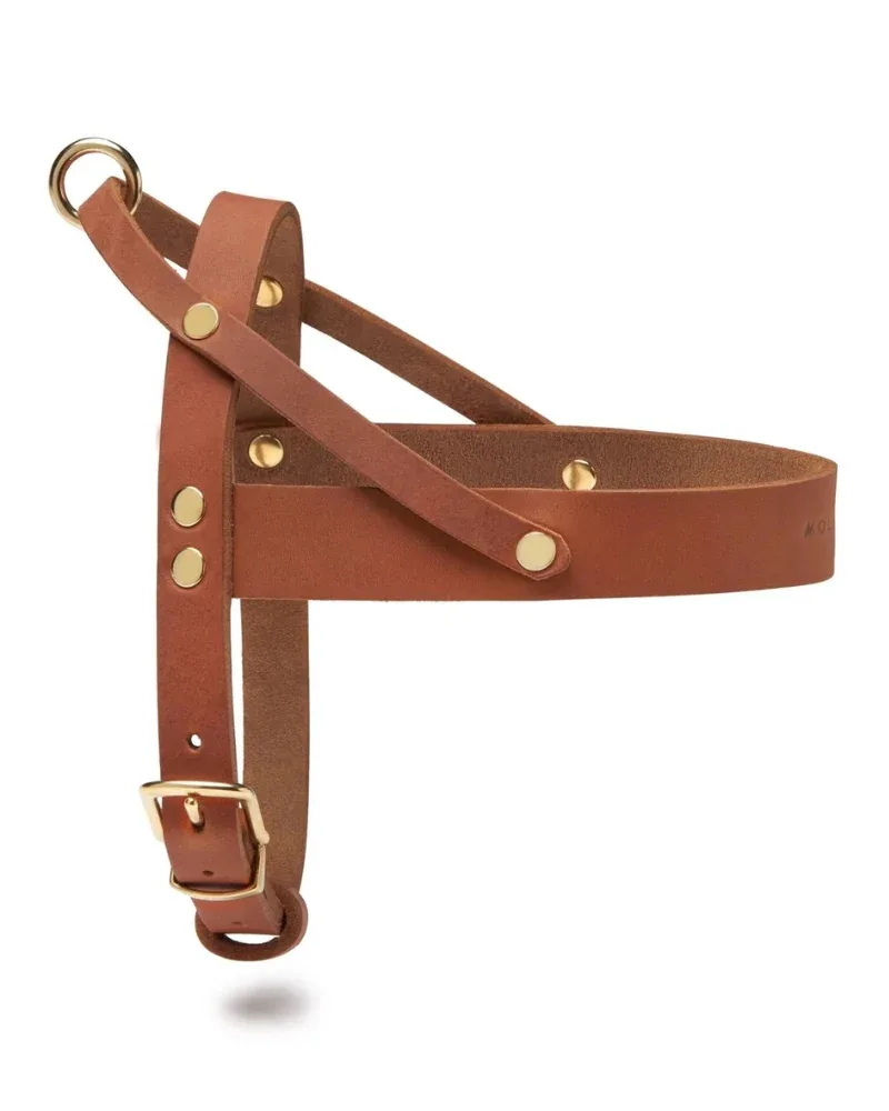 Butter Leather Dog Harness in Sahara Cognac (Made in Austria) - Image 2