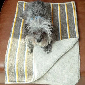 Campus Stripe Dog Blanket (Made in the USA)