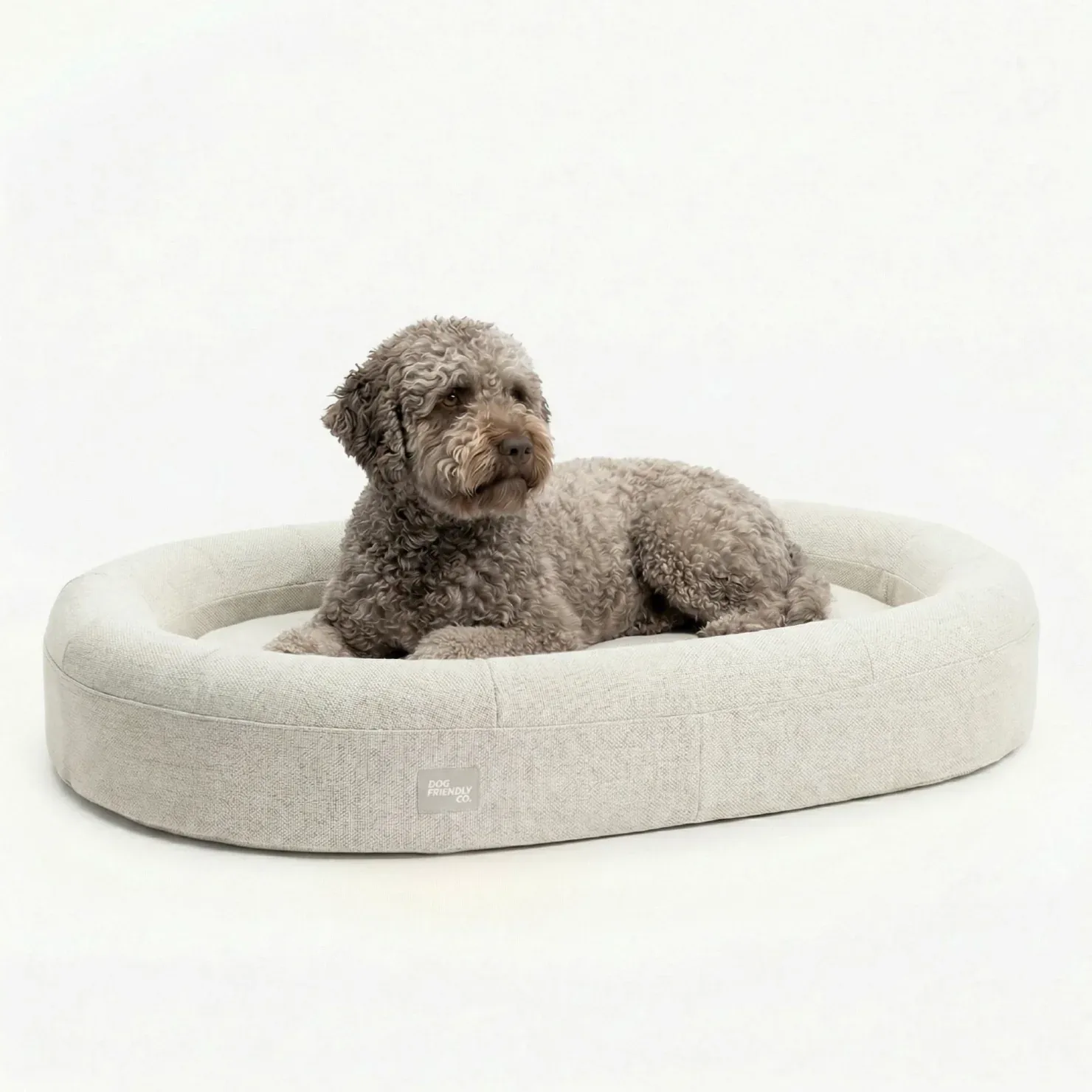 Chill Pill Memory Foam Dog Bed - Beige (Medium)