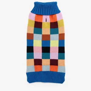 Color Patch Dog Sweater in Sport