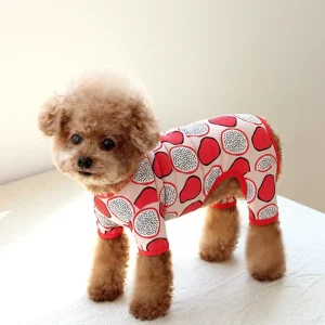 Dragonfruit Print Dog Onesie (FINAL SALE)
