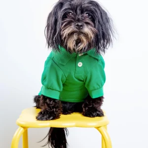 Dog Polo Shirt in Grass Green (FINAL SALE)