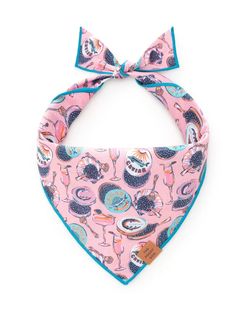 Champagne & Caviar Dog Bandana (Made in the USA)