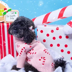 Pink Candy Cane Dog Sweater (FINAL SALE)