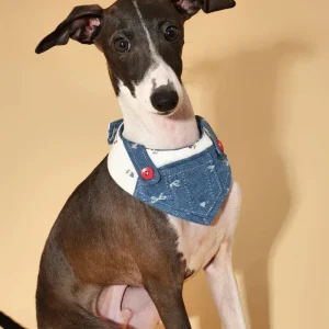 Reversible Denim Overalls Dog Bandana (FINAL SALE)