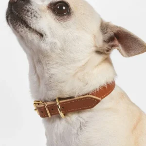 Small Dog Collar in Cognac Leather (Made in Italy) (FINAL SALE)
