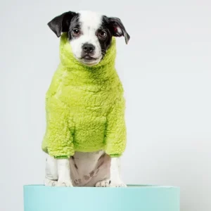 The Highlighter Fleece Sweatshirt (FINAL SALE)