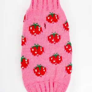 Strawberry Wool Dog Sweater (FINAL SALE)