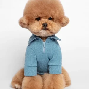 Foldover Half-Zip Dog Knit Sweater (FINAL SALE)