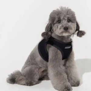 Soft Vest Dog Harness in Black