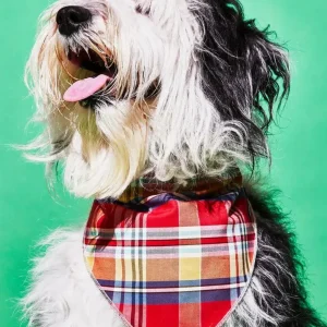 Reversible Plaid Dog Bandana (Made in the USA) (FINAL SALE)