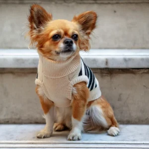 Black & Natural Striped Turtleneck Dog Sweater