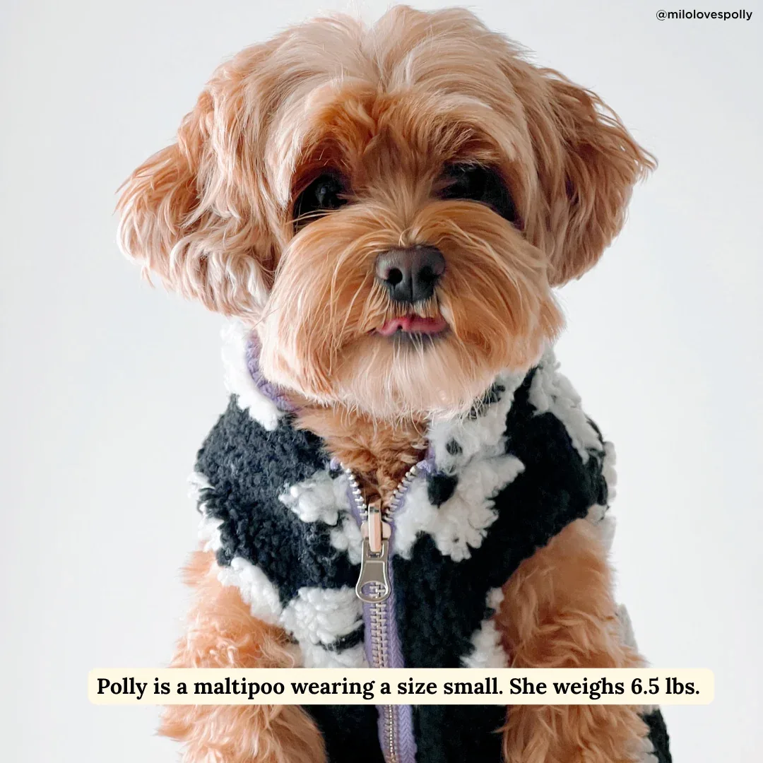 Far Out Reversible Teddy Vest - Image 2