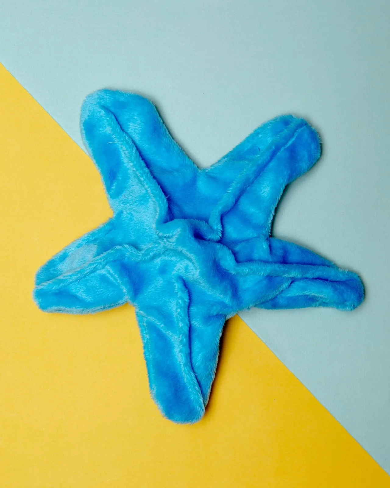 Starfish Crinkle Dog Toy (Made in the USA) (FINAL SALE)