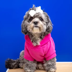 Plush Dog Hoodie in Fuschia (Made in the USA) (FINAL SALE)
