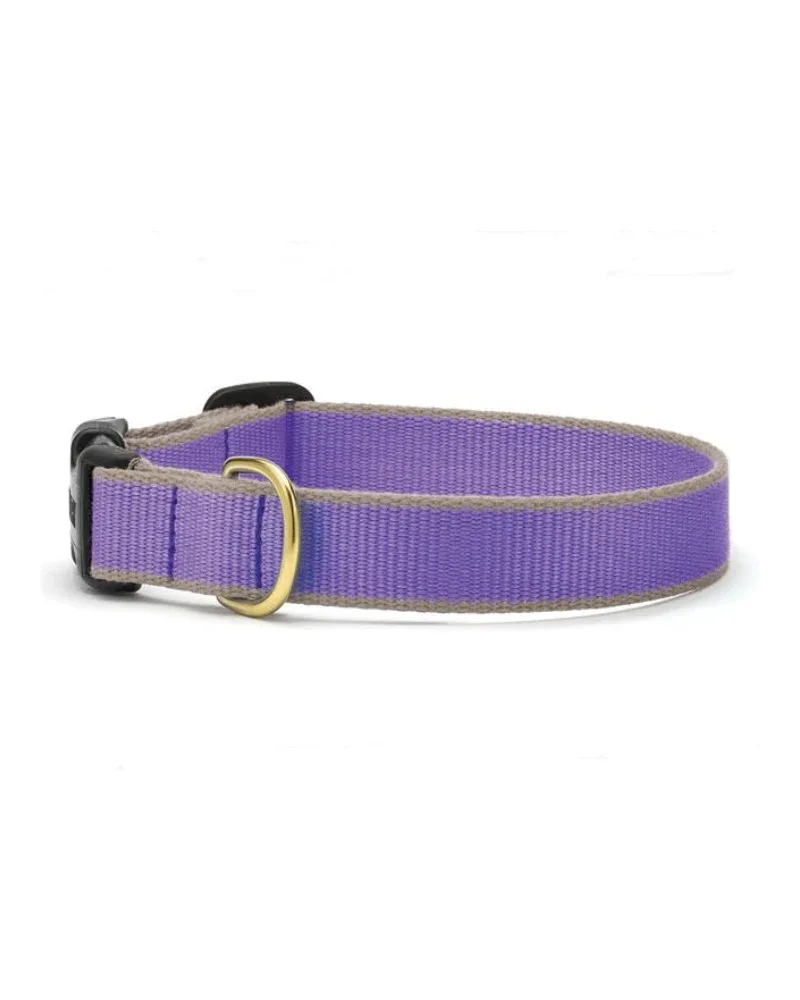 Color Market Bamboo Dog Collar in Lavender (Made in the USA) - Image 2