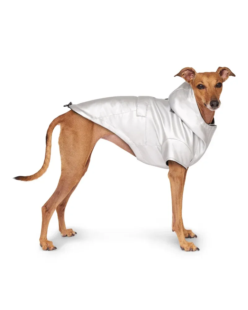 Cold Front Dog Raincoat in Silver (FINAL SALE) - Image 2