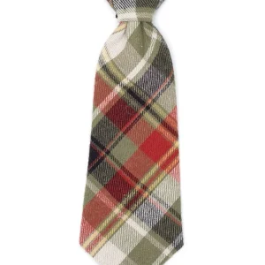 Olive Harvest Multi Plaid Dog Tie