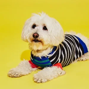 Merino Wool Mixed Up Stripes Dog Sweater (FINAL SALE)