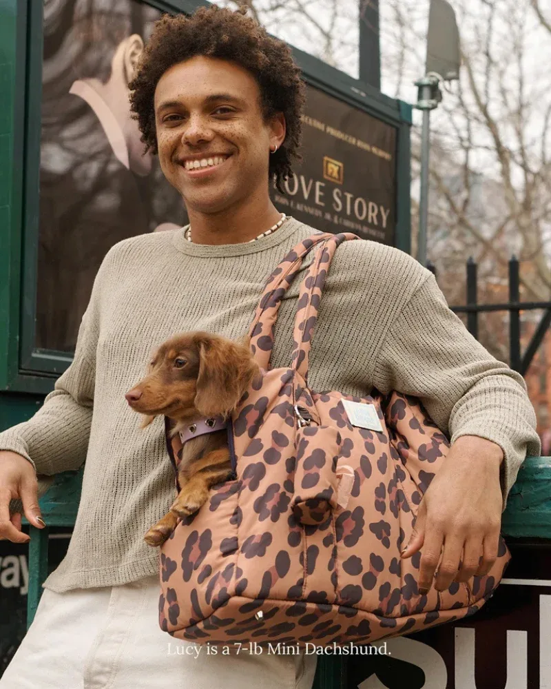 The Little Beast Dog Carrier in Cougar - Image 2