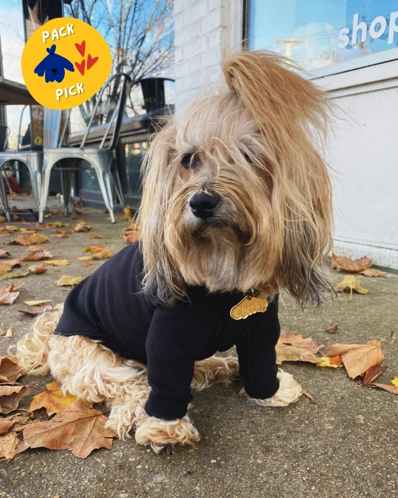 Long-Sleeve Pullover Stretch Dog Fleece in Black (Made in the USA, Dog & Co. Exclusive!) - Image 2
