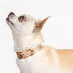 Small Dog Collar in Rose Gold Leather (Made in Italy) (CLEARANCE)